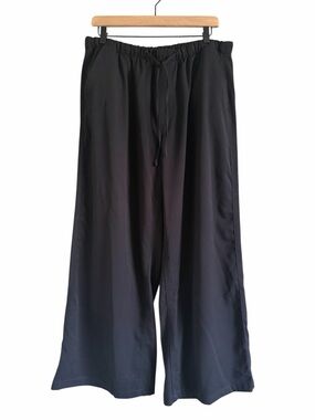 NEW American Eagle Wide Leg Loose Fit Pants Size Large